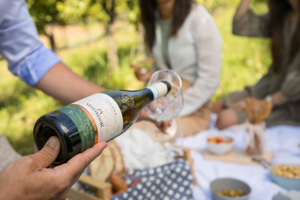 Taste With Us Bardolino, Chiaretto and Lugana Near Verona - Guided Tour Highlights