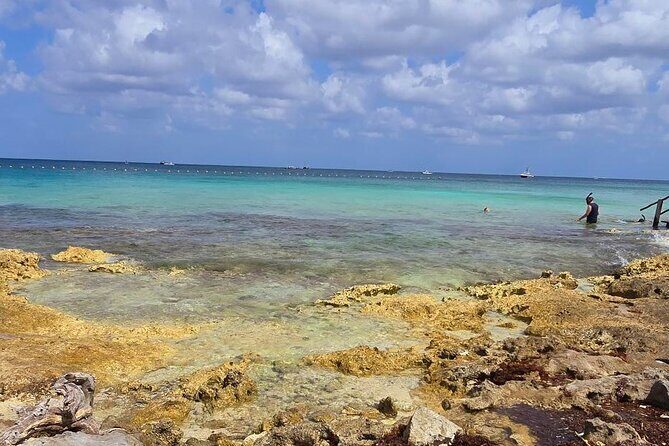 Tastes of Mexico Traditional Food Culture and Beach in Cozumel - An In-Depth Look at the Itinerary