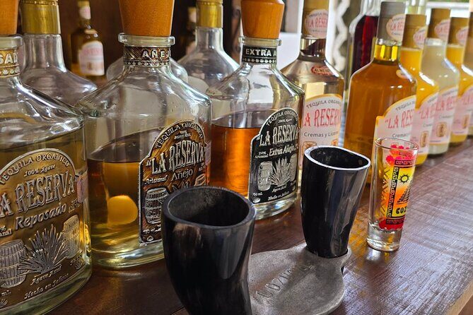 Tastes of Mexico Traditional Food Culture and Beach in Cozumel - Final Thoughts: Is It Worth It?