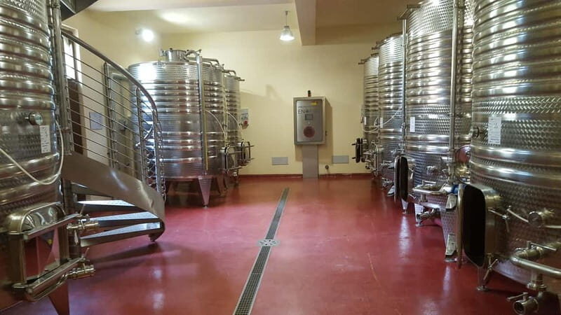 Tasting and tour of the winery - Final Thoughts: Who Will Love This Experience?