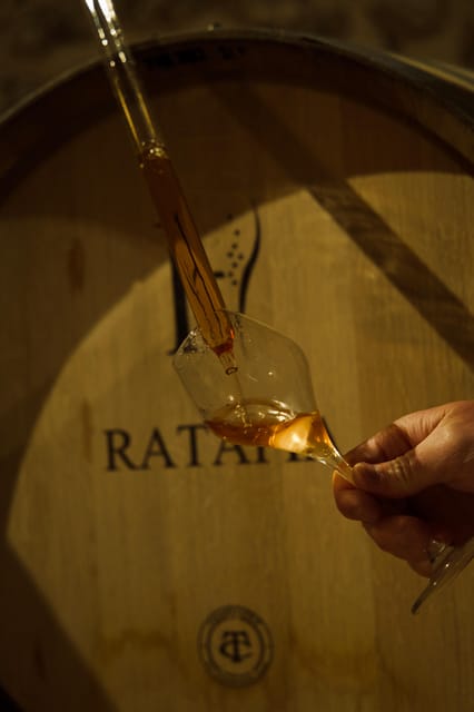 Tasting Experience: Discover Our Champagnes in Marne Valley - Champagnes Sampled