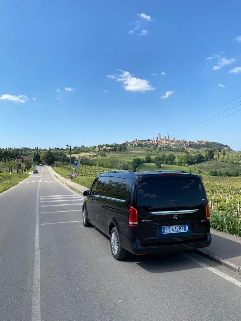 Tasting in a Tuscan Vineyard with transfer from Lucca - Key Points