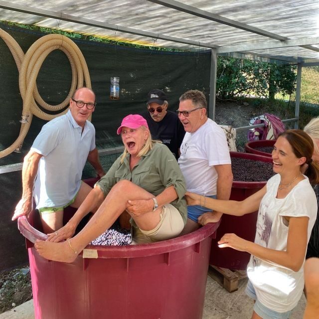 Tasting in a Tuscan Vineyard with transfer from Lucca - Practical Details and Tips