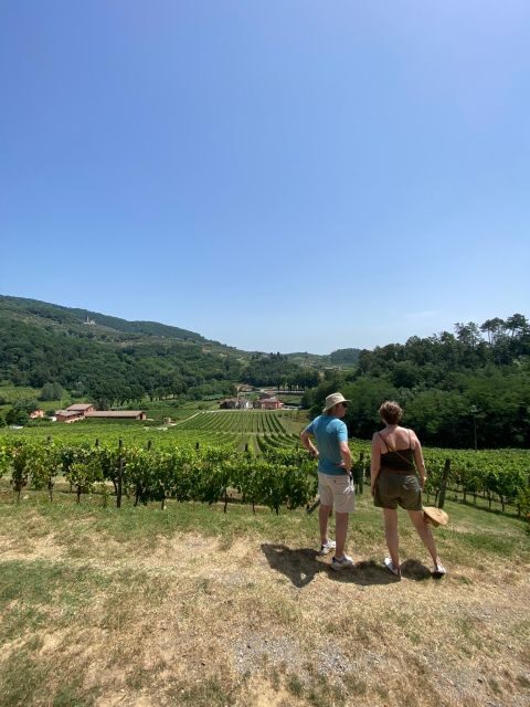 Tasting in a Tuscan Vineyard with transfer from Lucca - Final Thoughts