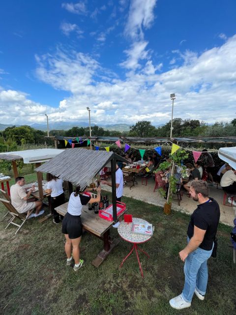 Tasting in a Vineyard With Transfer From Pisa - Tour Accessibility