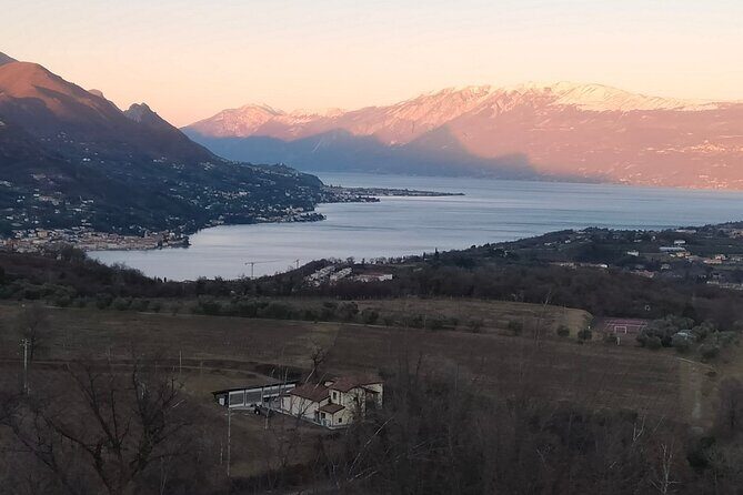 Tasting of 4 Valtenesi wines with local food in Salò - Discovering Valtenesi: An Authentic Wine Region