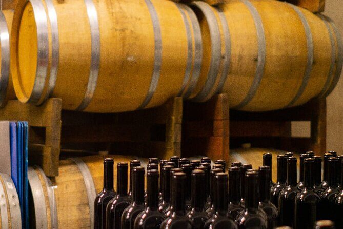 Tasting of 4 Valtenesi wines with local food in Salò - Who Will Love This Tour?