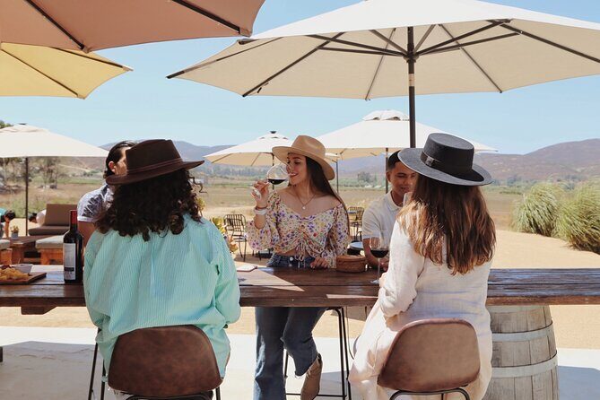 Tasting of 5 wines and tour at the winery Rondo del Valle - Value and Practical Details