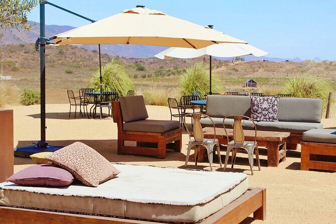 Tasting of 5 wines and tour at the winery Rondo del Valle - Final Thoughts