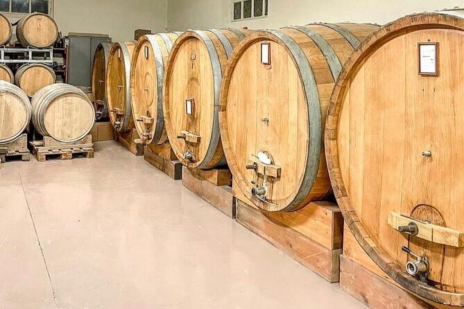 Tasting of 7 wines in the Langhe and visit to the cellar - Starting at the Heart of the Langhe