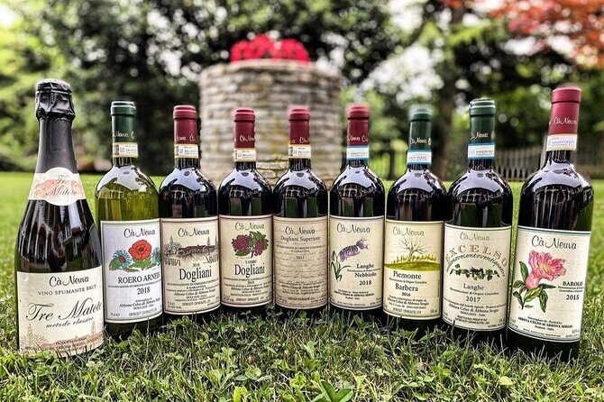 Tasting of 7 wines in the Langhe and visit to the cellar - Visiting the Cellar: Tradition in Action