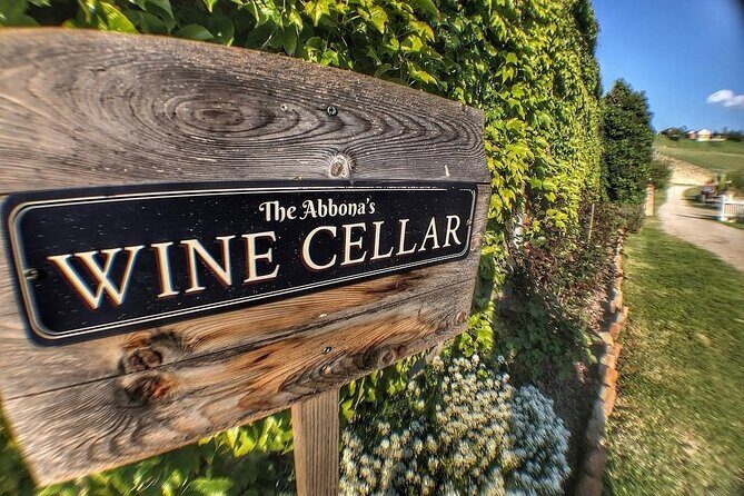 Tasting of 7 wines in the Langhe and visit to the cellar - Value and Practicalities