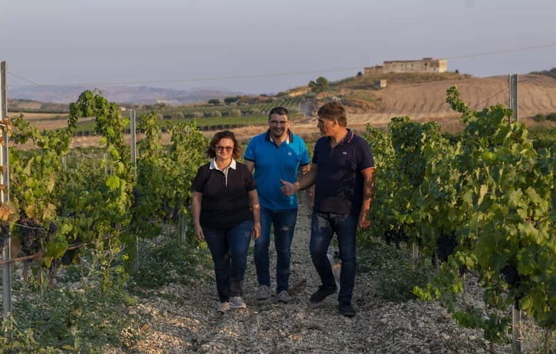 Tasting of EVO Wines and Oil in the countryside of Agrigento - An Authentic Slice of Sicilian Flavors