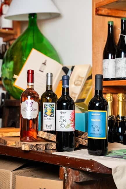 Tasting of Local Wines with appetizers in Rapallo's historic center. - Key Points
