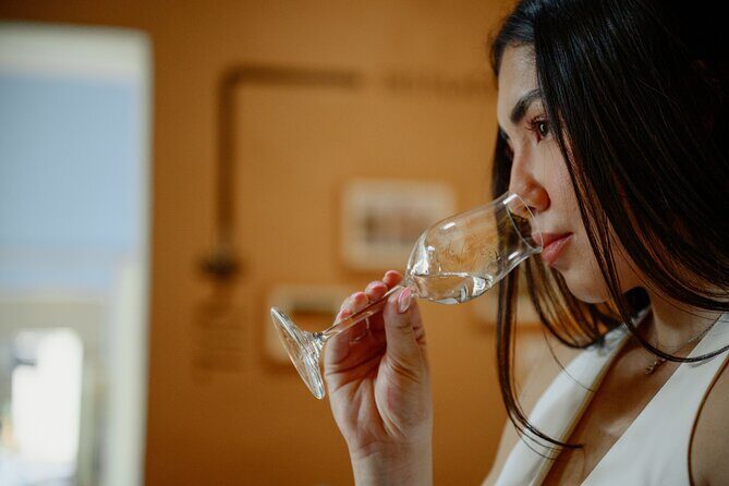 Tasting of Mezcal with the best selling brand in Oaxaca - Key Points