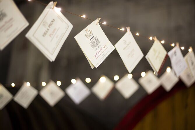 Tasting of Rosso Piceno DOC Superiore - Villa Pigna winery - Exploring the Experience: A Closer Look  