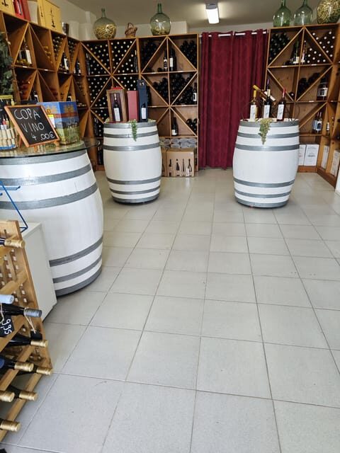 Tasting wines from Mallorca - Vinothek Cala Mandia - Tasting Wines from Mallorca - Vinothek Cala Mandia: A Deep Dive into Island Flavors