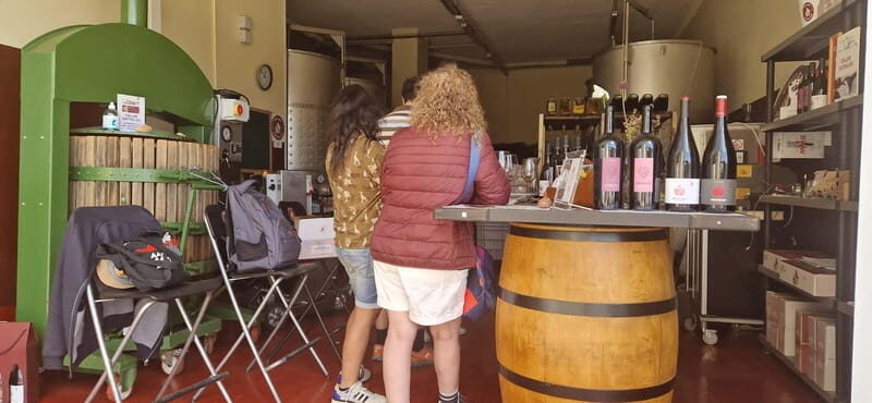 tasting wines in the vineyards with hotel pickup hotel - Who Will Love This Tour