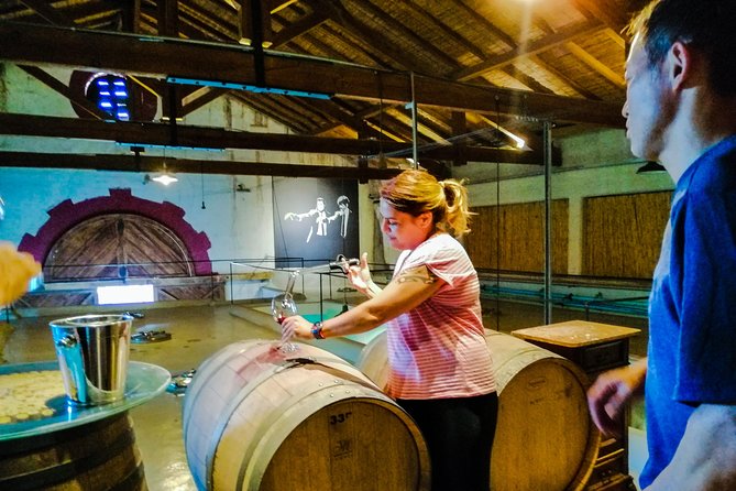 Tastings and Lunch in Maipú! One of the Oldest Regions of Mendoza - Empanadas and Trout Highlights
