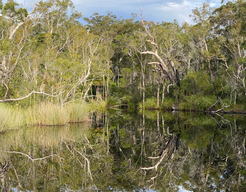 Tasty Noosa Everglades - Description