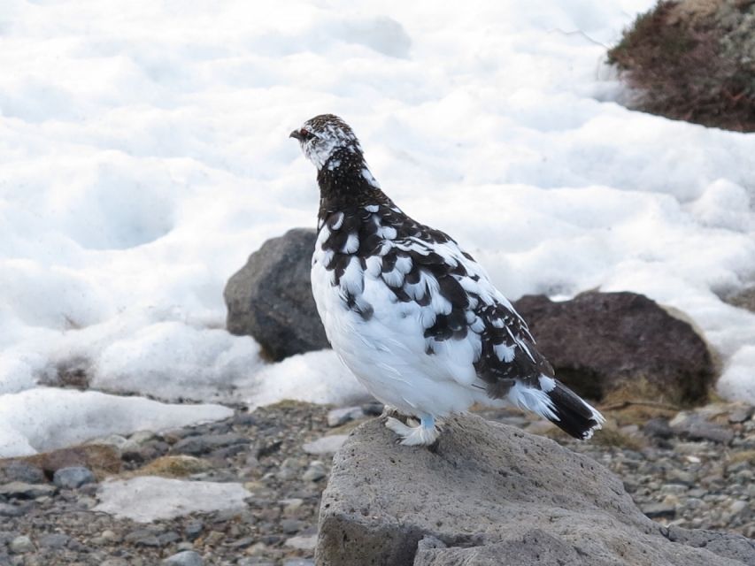 Tateyama-Kurobe Alpine Route From Nagano - Frequently Asked Questions