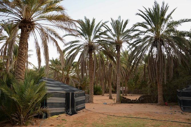 Tatouine - Cheneni - Ksar Ghuilaine - Matmata: 2 Days Visit - Unique Experiences Offered