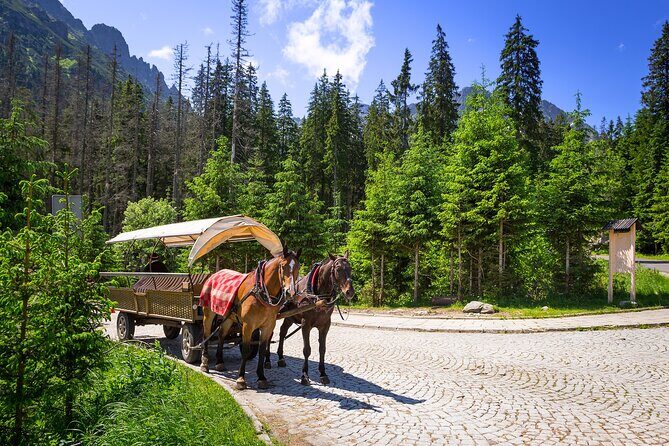 Tatra Mountains and Zakopane Full-Day Tour from Krakow - Who Will Love This Tour?
