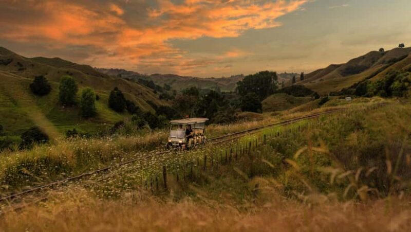 Taumarunui: Forgotten World Rail Cart Tour with Lunch - The Scenic Ride and Native Bush