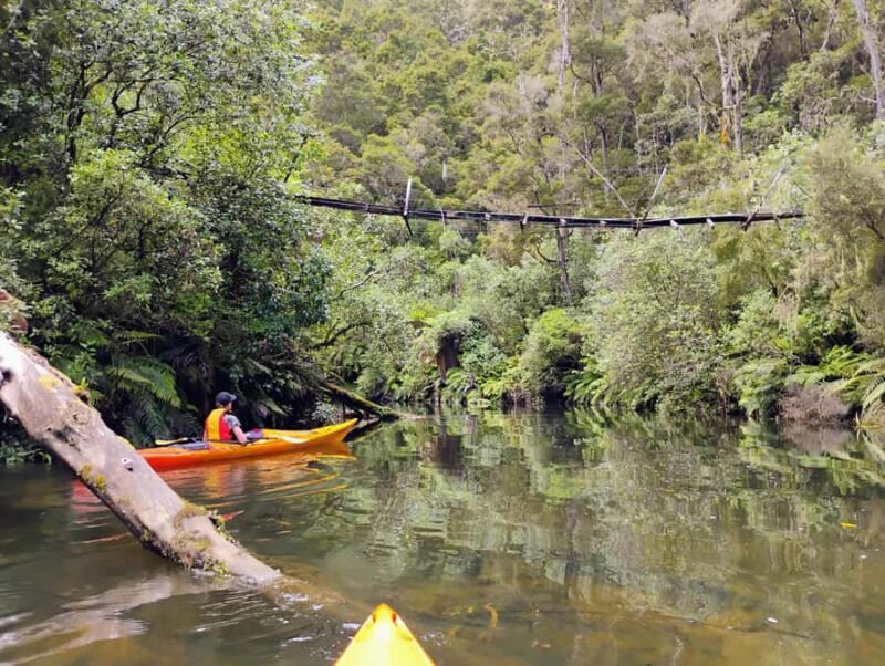 Taup: Hidden Lake Kayak Tour with Sunken Forest Views - Exploring Taup: Hidden Lake Kayak Tour with Sunken Forest Views