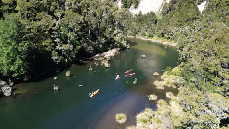 Taup: Hidden Lake Kayak Tour with Sunken Forest Views - Who Will Love This Tour?