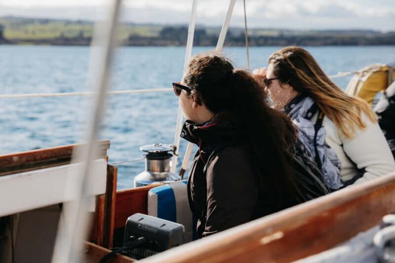 Taup: Sail Barbary Eco Sailing to the Maori Rock Carvings - An Honest Look at the Experience