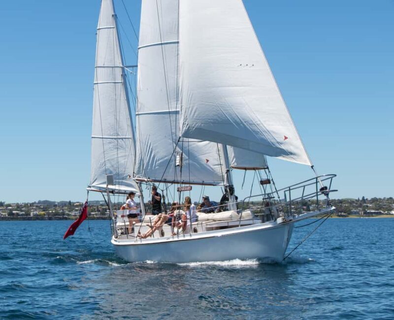 Taup: Sail Barbary Eco Sailing to the Maori Rock Carvings - Frequently Asked Questions