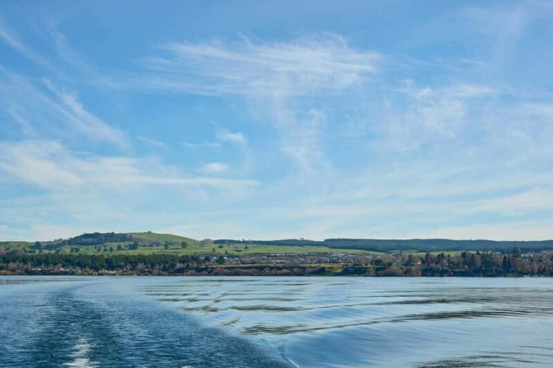 Taupo/Turangi: The Torohe Half-Day Horse Trek - The Practical Side: Logistics and Value