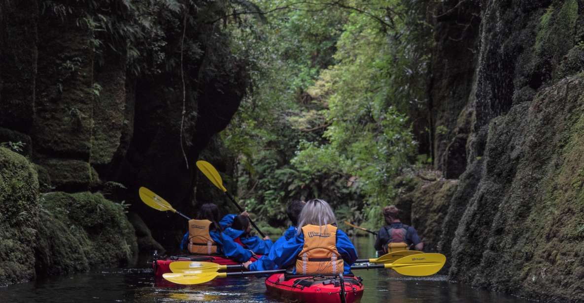 Tauranga: Daytime Scenic Lake McLaren Kayak Tour - Location and Meeting Point