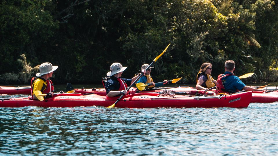 Tauranga: Daytime Scenic Lake McLaren Kayak Tour - Cancellation Policy