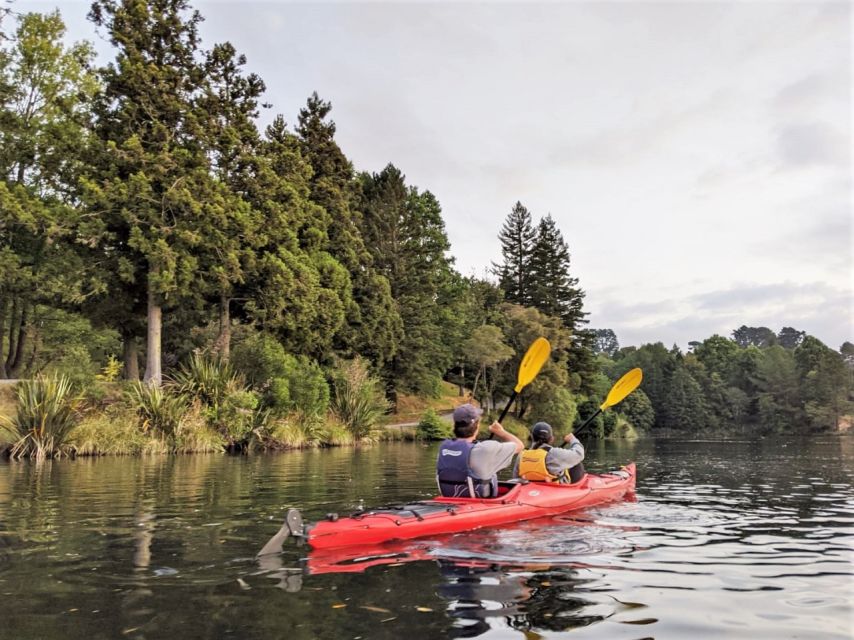 Tauranga: Evening Glowworm Kayak Tour - Tour Details