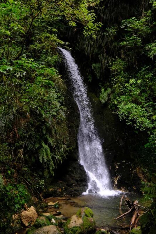 Tauranga: Kiwifruit Destination and Sights Shore Excursion - Key Points