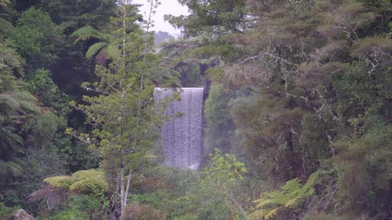 Tauranga: Kiwifruit Destination and Sights Shore Excursion - Who Should Consider This Tour?
