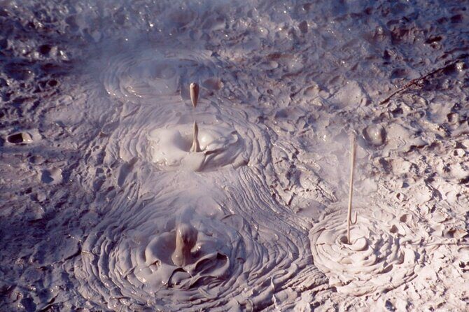 Tauranga Private Shore Excursion: Wai-O-Tapu Thermal Wonderland - Final Thoughts: A Well-Rounded, Authentic Day Out
