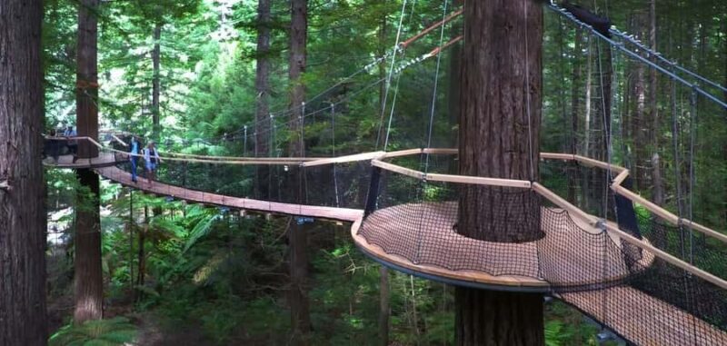 Tauranga: Rotorua Redwoods Tour & Maori Village Experience - Final Thoughts