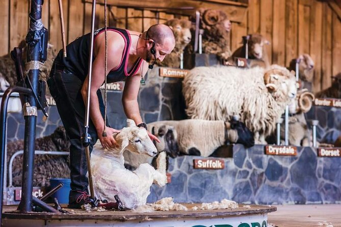 Tauranga-Rotorua: Te Puia Geysers-Agrodome Farm Show Private Tour - Itinerary and Duration
