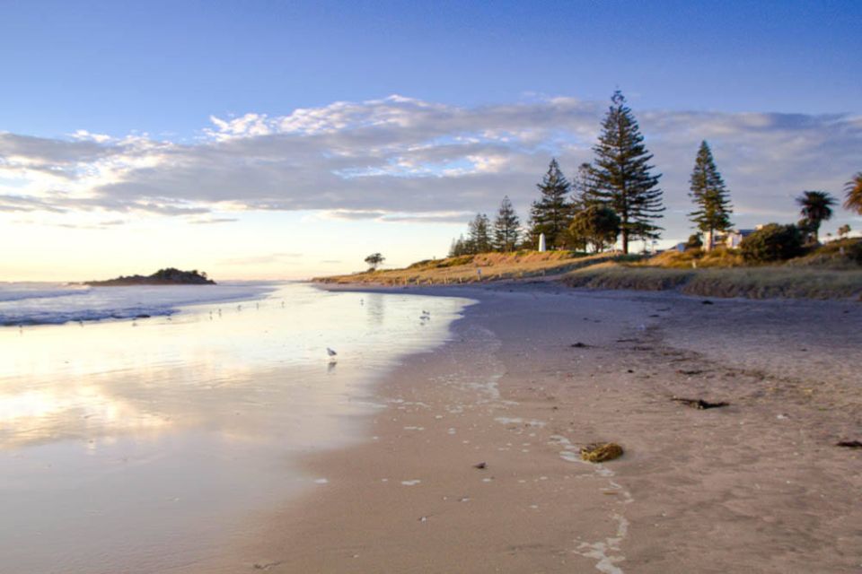 Tauranga Self-Guided Audio Tour - Tour Experience
