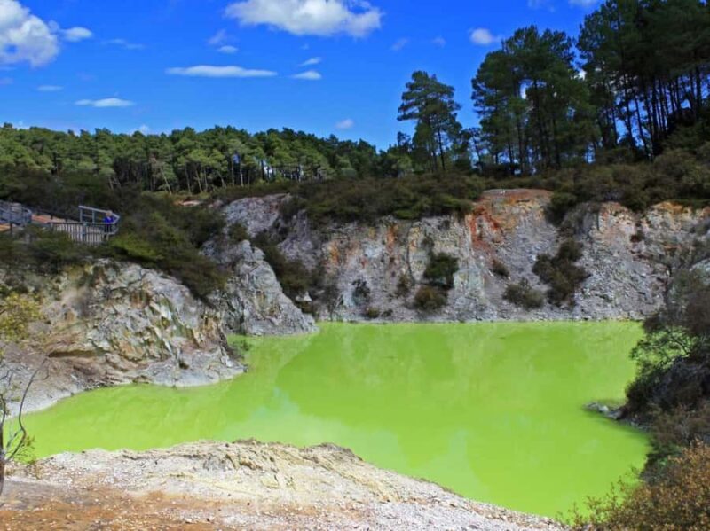 Tauranga: Wai-o-Tapu with Redwood Forest Walk or Forest Spa - Key Points