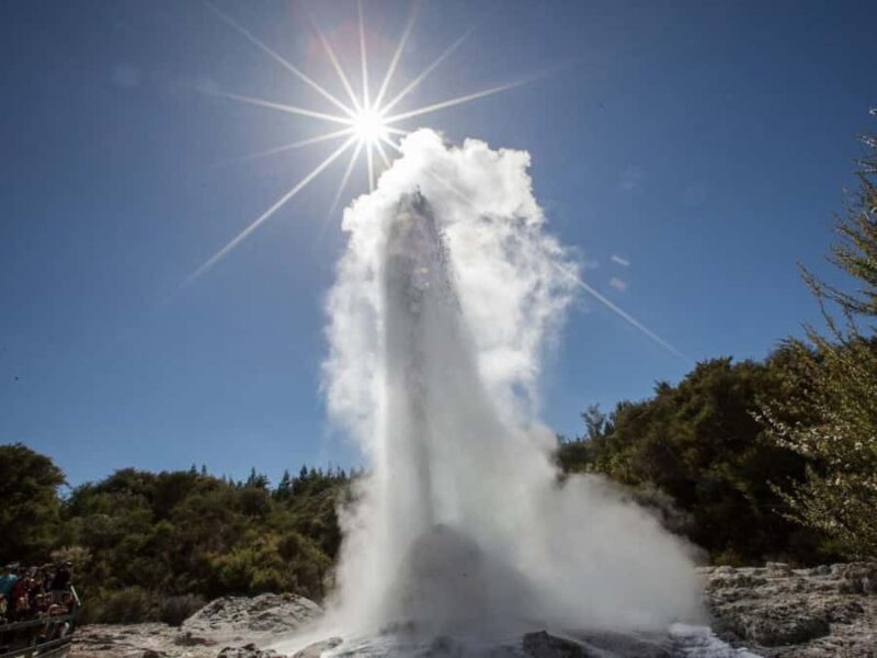 Tauranga: Wai-o-Tapu with Redwood Forest Walk or Forest Spa - Introduction to the Tour Experience