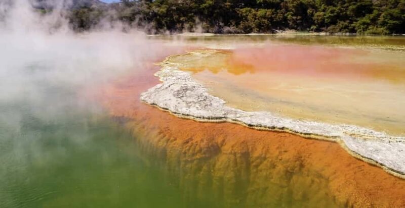 Tauranga: Wai-o-Tapu with Redwood Forest Walk or Forest Spa - Why This Tour Offers Great Value