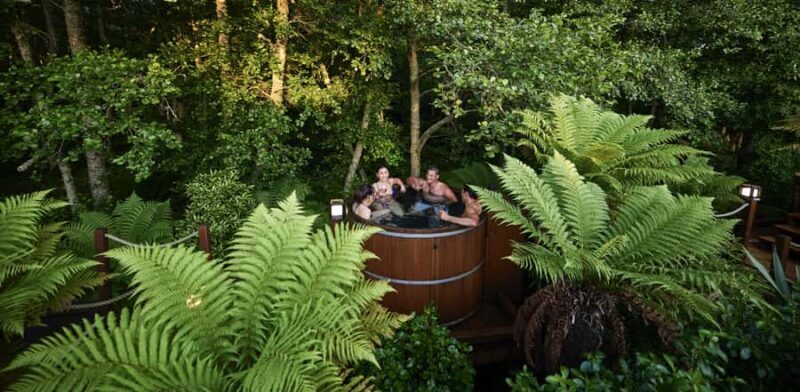 Tauranga: Wai-o-Tapu with Redwood Forest Walk or Forest Spa - Who Will Love This Tour?