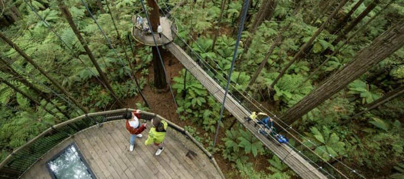 Tauranga: Wai-o-Tapu with Redwood Forest Walk or Forest Spa - Final Thoughts