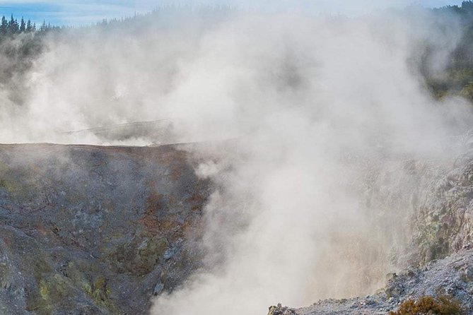 Tauranga - Wia O Tapu Wonderland & Rotorua Geysers: Private Tour - Meeting and Pickup Details