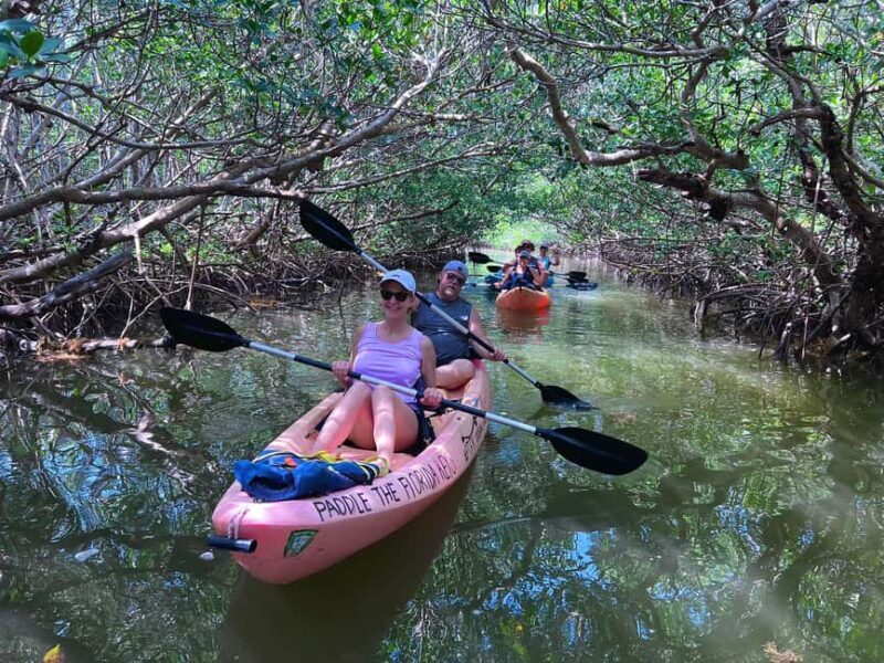 Tavernier, FL: Mangrove and Manatees Guided Kayak Eco Tour - Practical Details and Tips for Travelers
