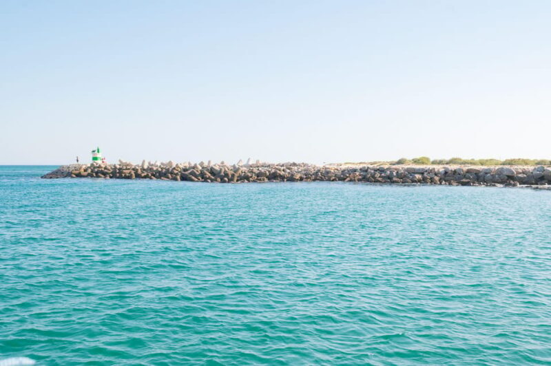 Tavira: Passeio Full Day - Who Will Love This Tour?